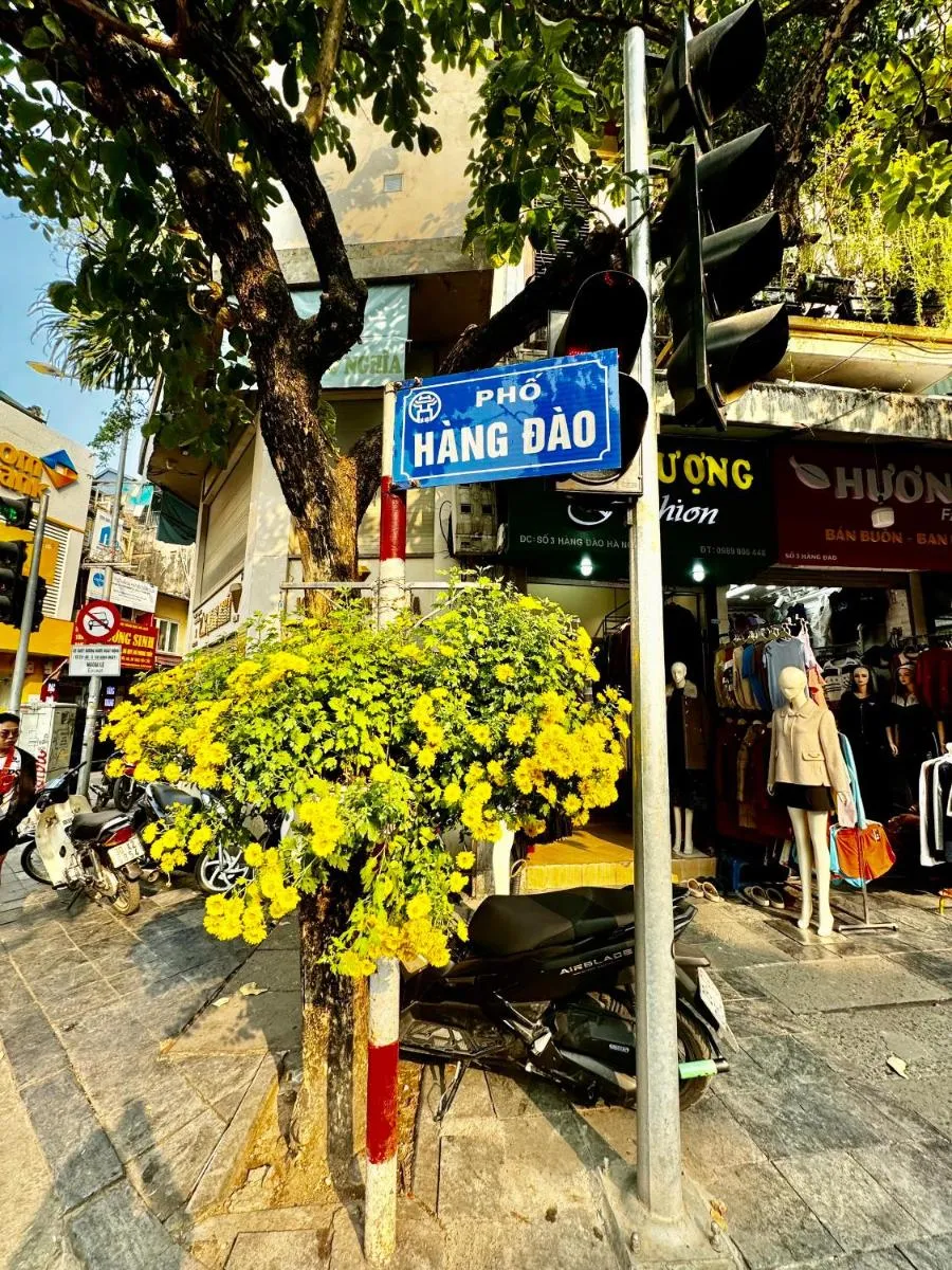 Image 3 of IL Divo Hostel & Spa Hàng Đào