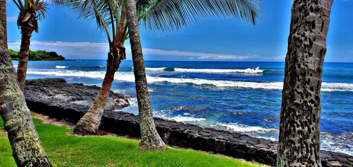 Image 2 of Ali’i Banyan Breeze