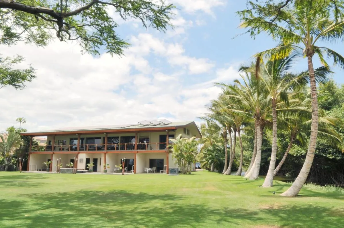 Image 6 of Aloha AKU – Hula 2
