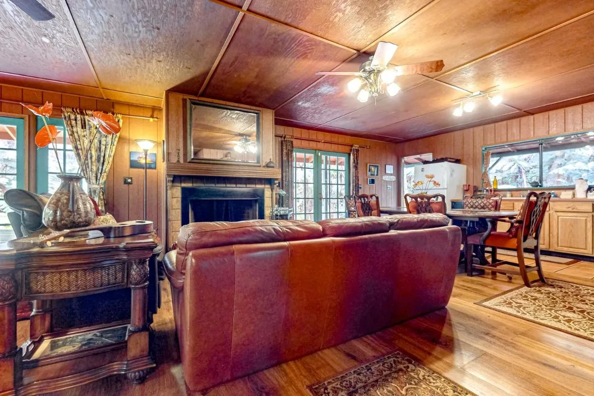 Image 3 of Anthurium Cottage