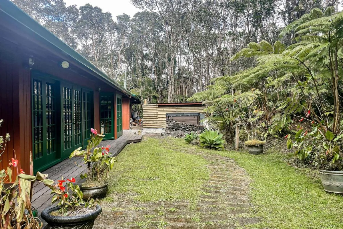 Image 5 of Anthurium Cottage