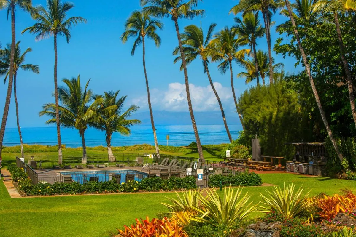 Image 6 of Beautiful 2 Bedroom Condo with Panoramic Ocean Views | Oceanfront