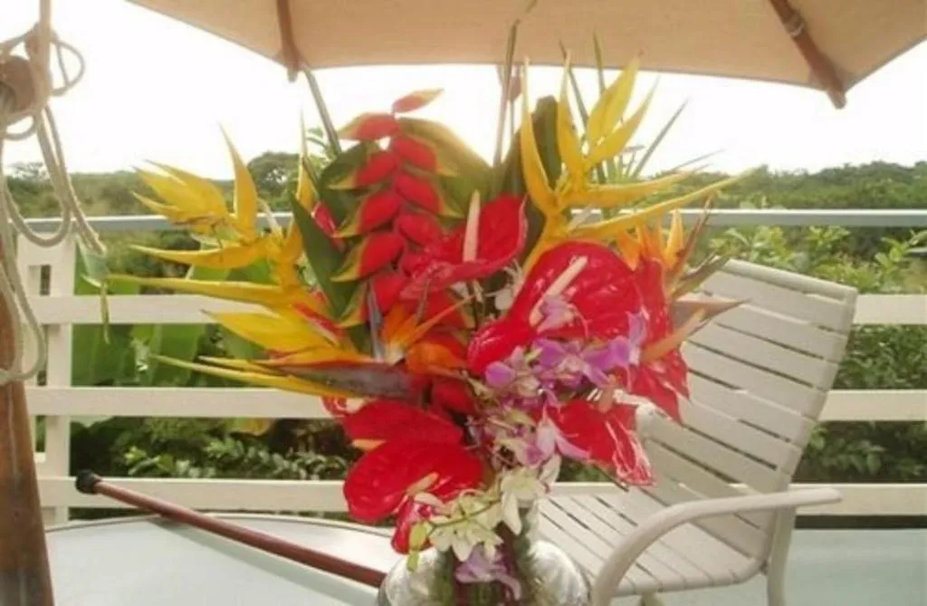 Image 4 of Hale-Hoola B & B