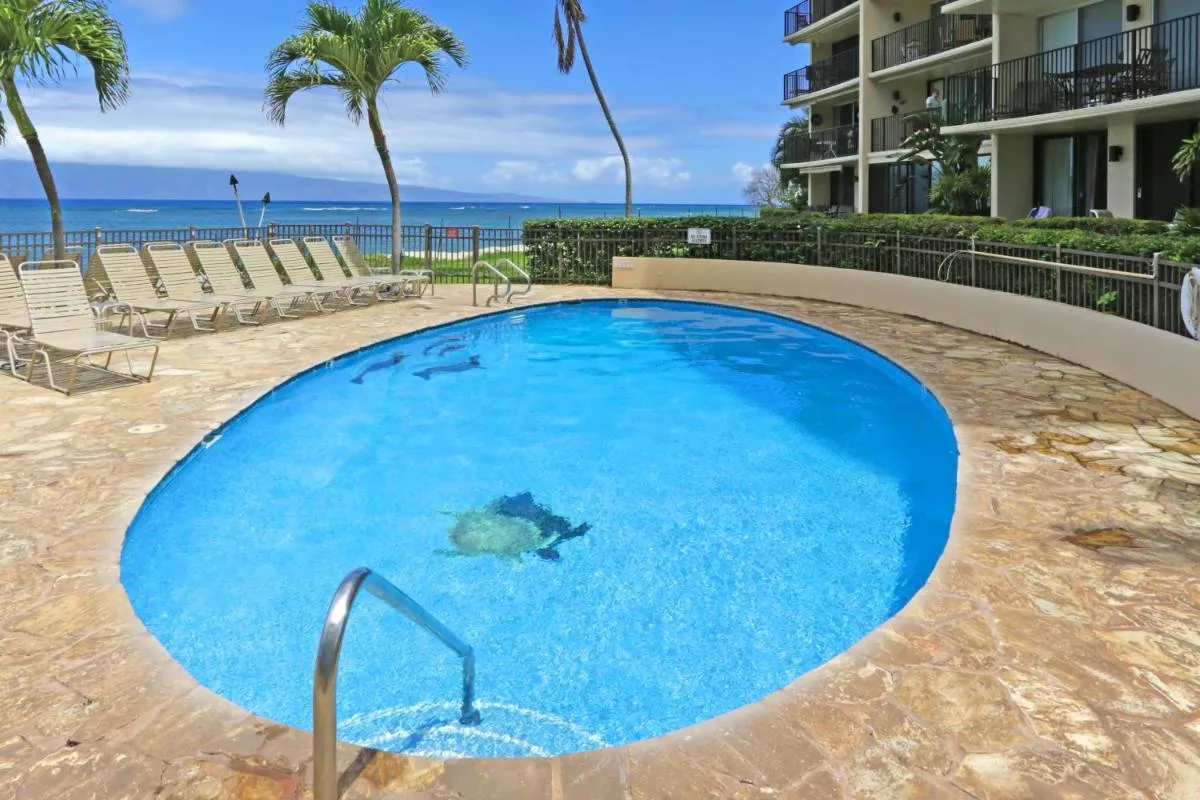Image 1 of Hololani Resort