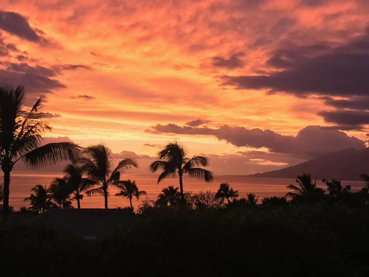 Image 6 of Hotel Wailea, Relais & Châteaux – Adults Only