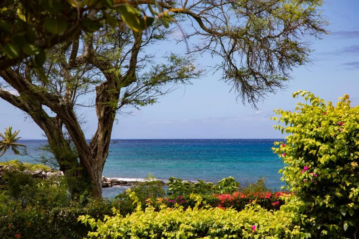 Image of KBM Resorts: Napili Point NAP-A25 Stunning Ocean Front Villa Turtle Views Includes Rental Car