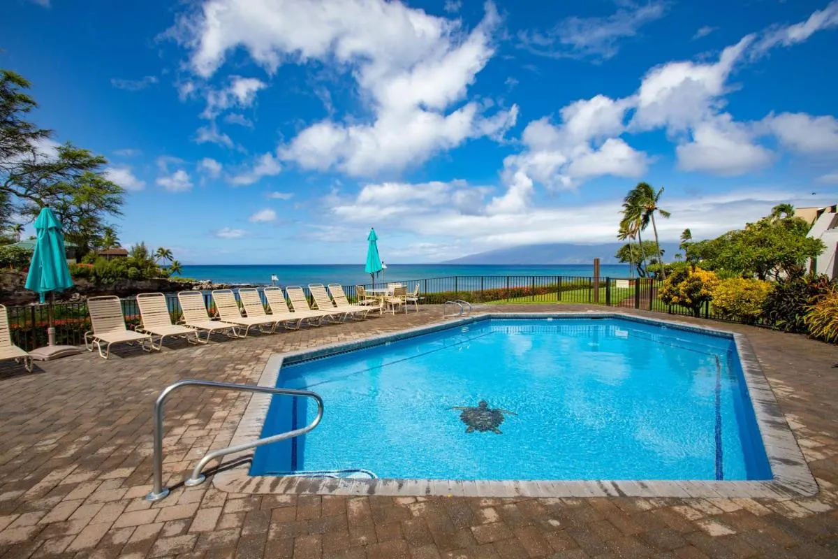 Image 3 of KBM Resorts: Napili Point NAP-A25 Stunning Ocean Front Villa Turtle Views Includes Rental Car