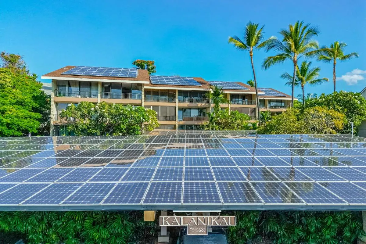 Image 6 of Kalanikai #112