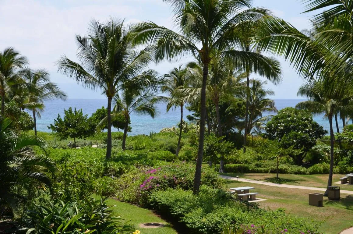 Image of Konea 244 at Honua Kai