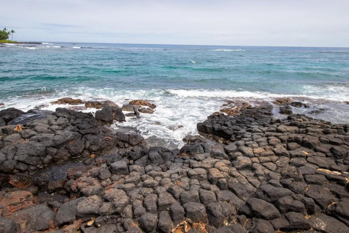 Image 1 of Kuhio Shores 107