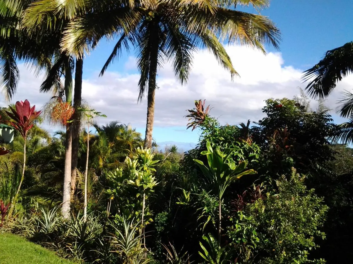 Image 5 of Lava Tree Tropic Inn