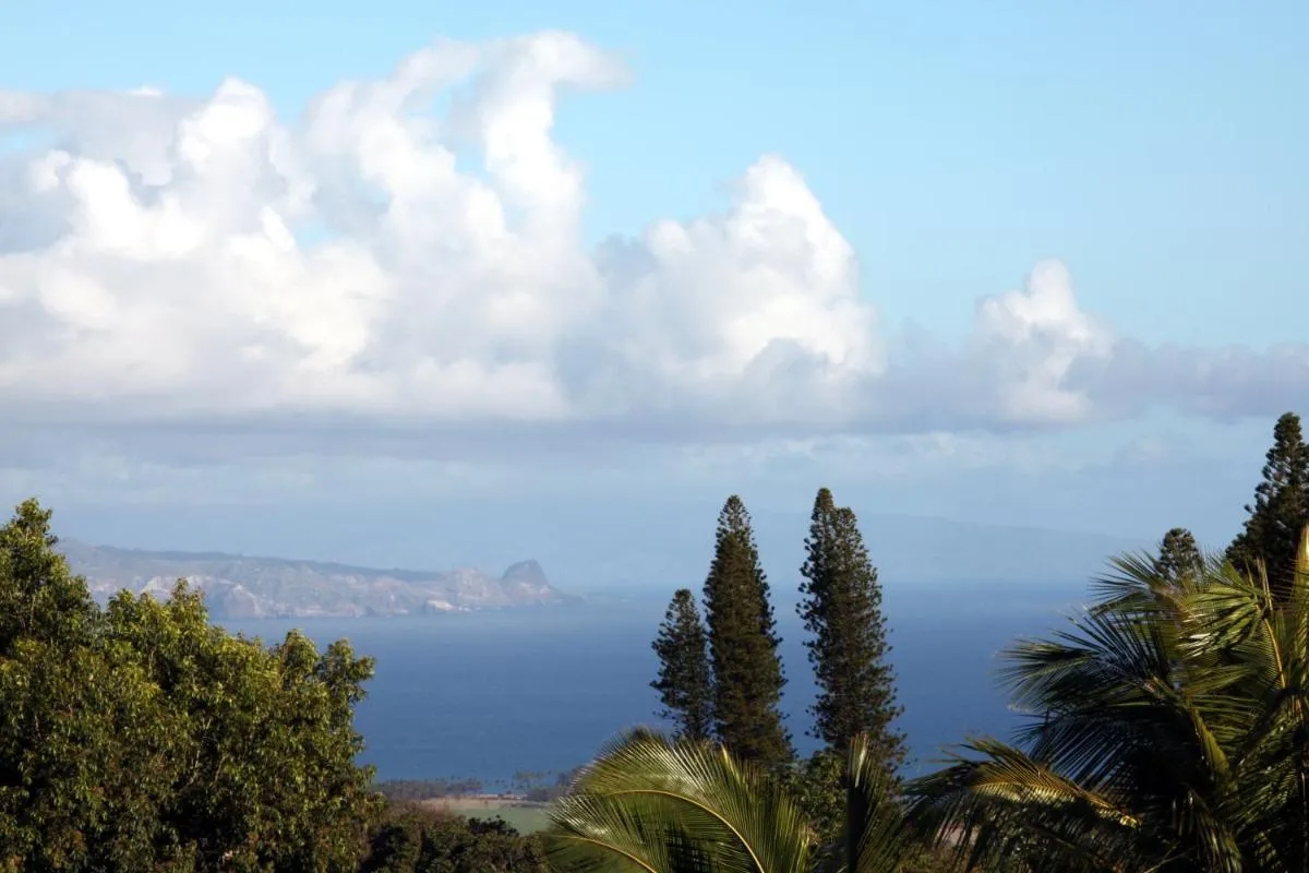 Image 6 of Lumeria Maui, Educational Retreat Center