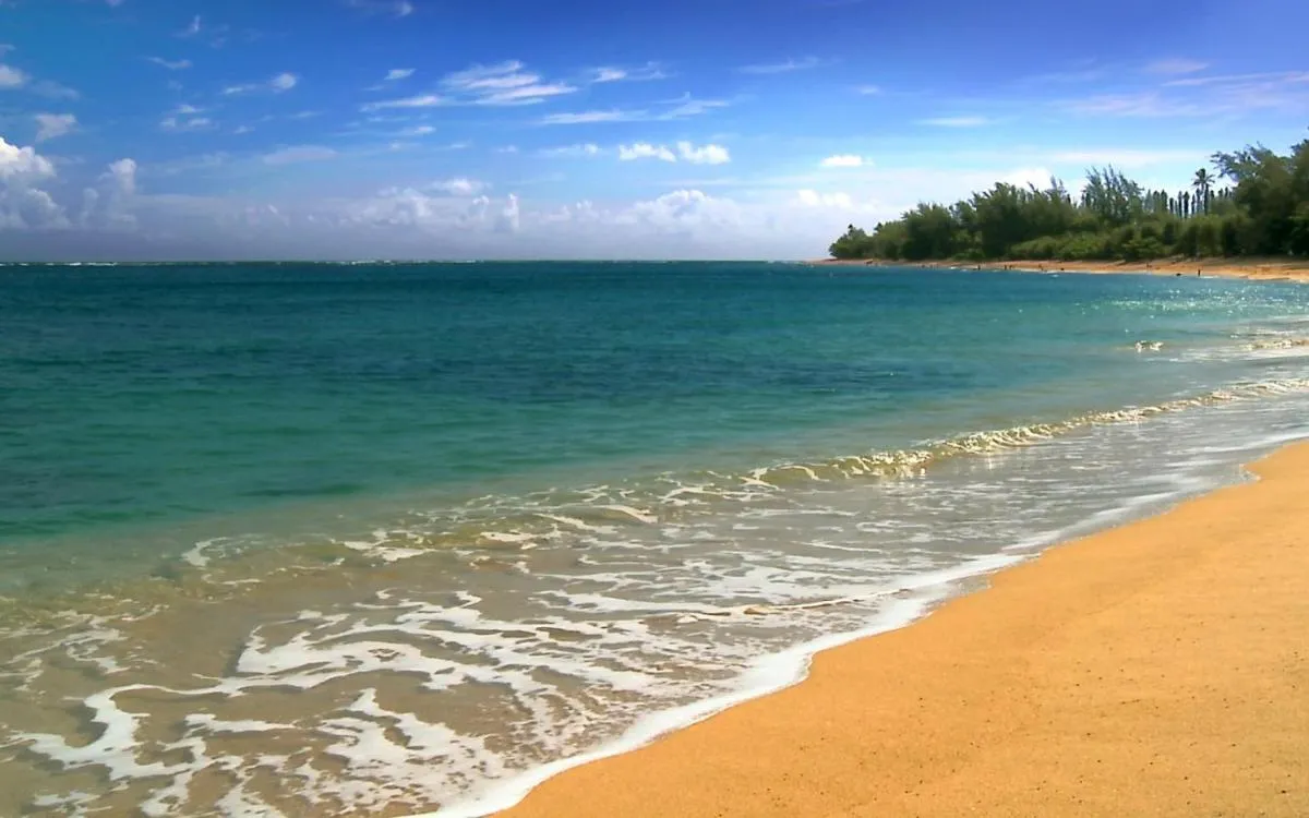 Image of Maui Vista – Kihei Kai Nani Beach Condos