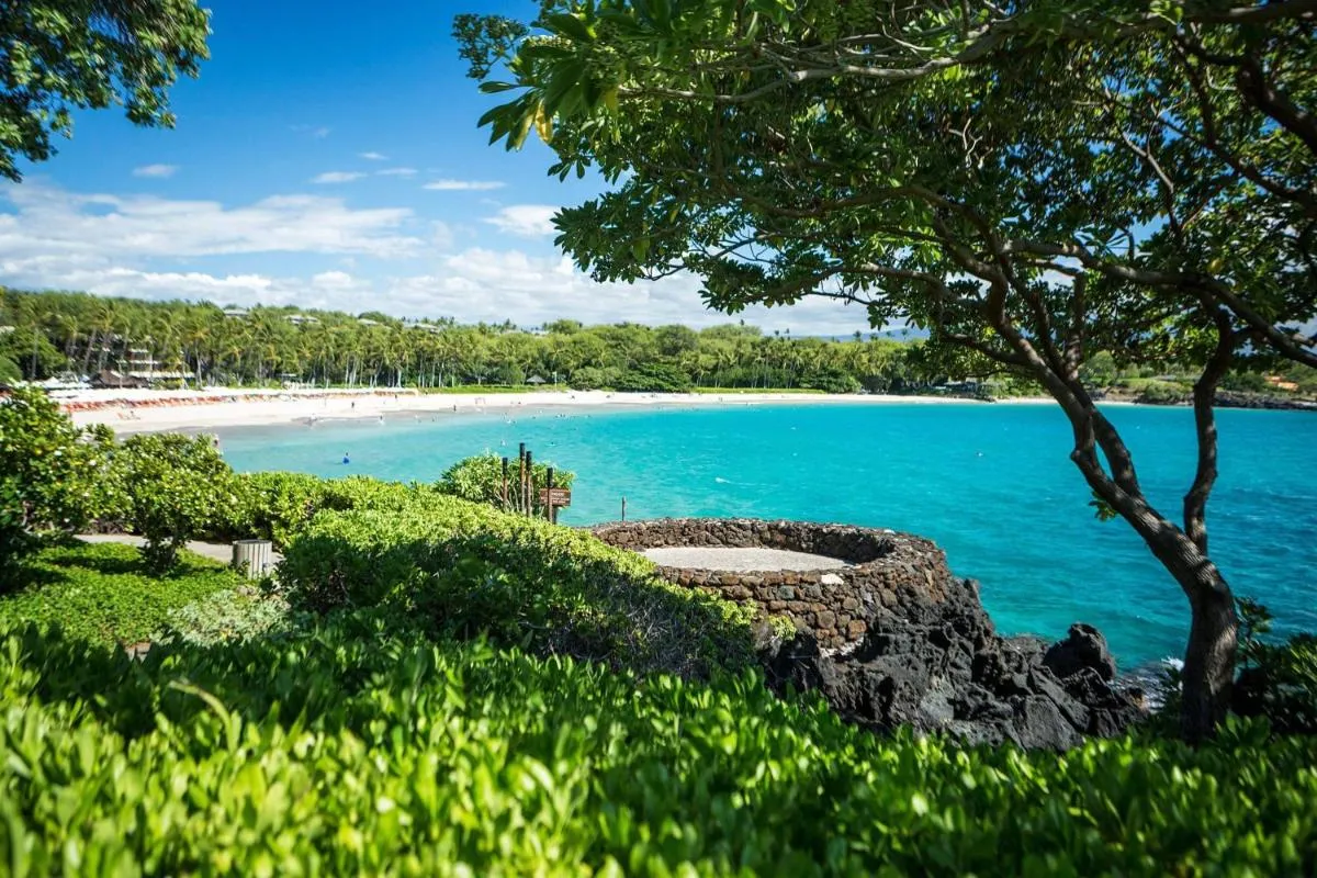 Image 6 of Mauna Kea Beach Hotel, Autograph Collection
