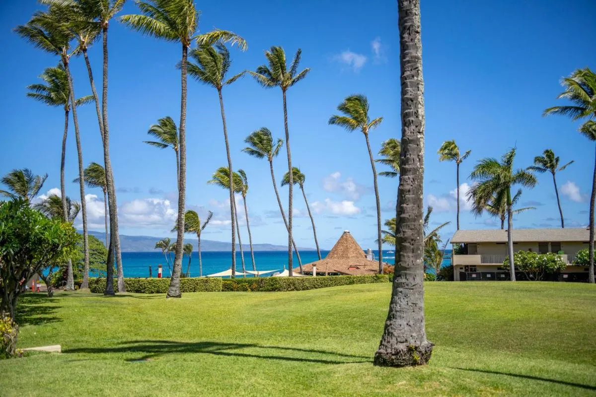 Image 5 of Napili Shores Maui by OUTRIGGER – No Resort & Housekeeping Fees
