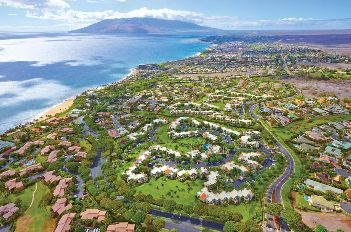 Image of Palms at Wailea