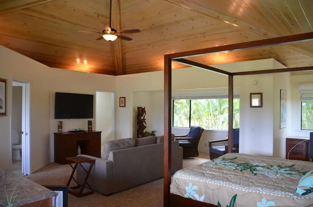 Image 5 of Paradise Awaits Private resort style salt water pool w/waterfall features & A/C