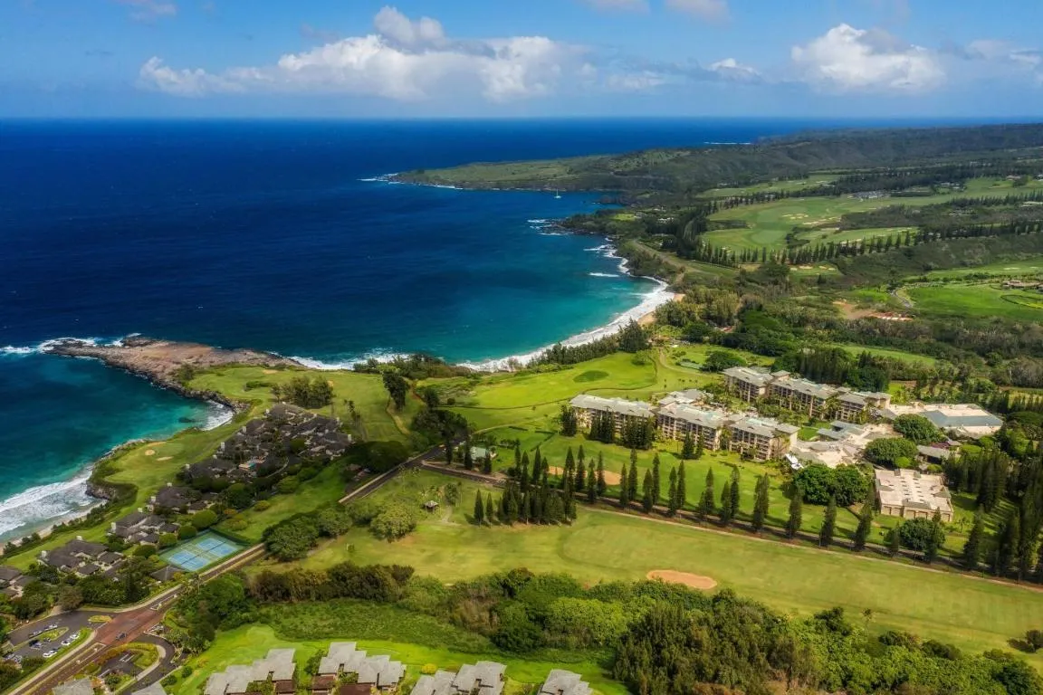 Image of The Ritz-Carlton Maui, Kapalua
