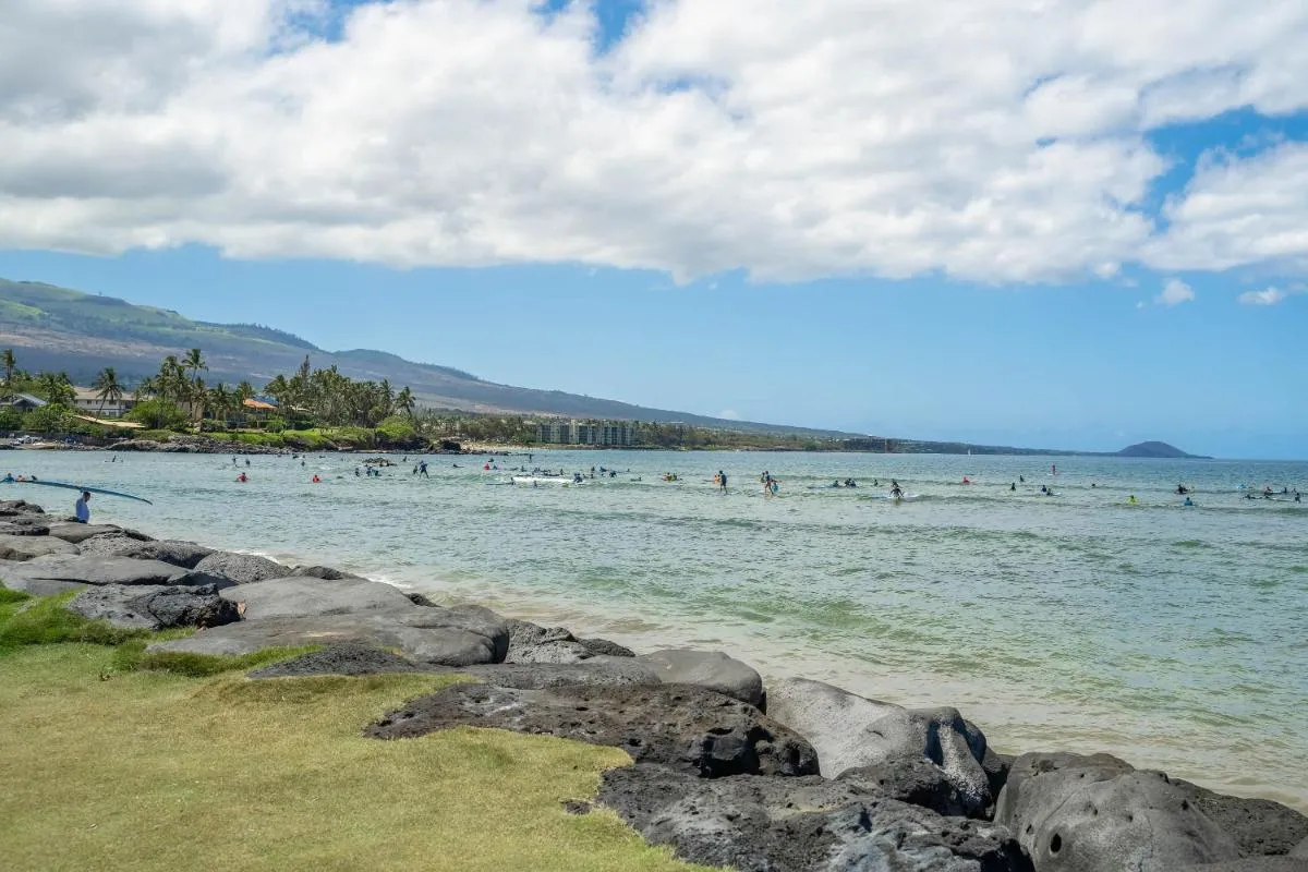 Image 2 of 1112ISLANDSURF312ISNCO – Island Surf 312