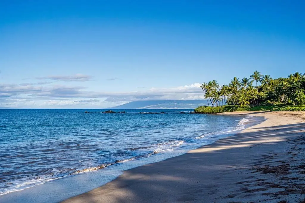 Image 4 of Aloha Moon – A Chic and Dreamy Modern Tropical Hideaway!