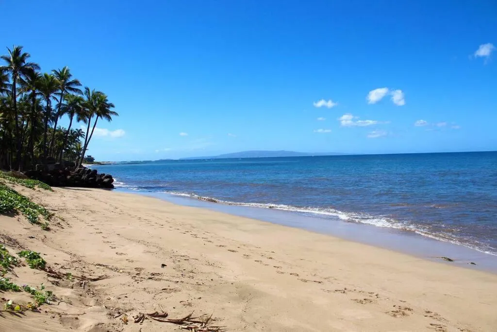 Image 2 of Best Deal and Epic Location 2bd 2BA Ocean View
