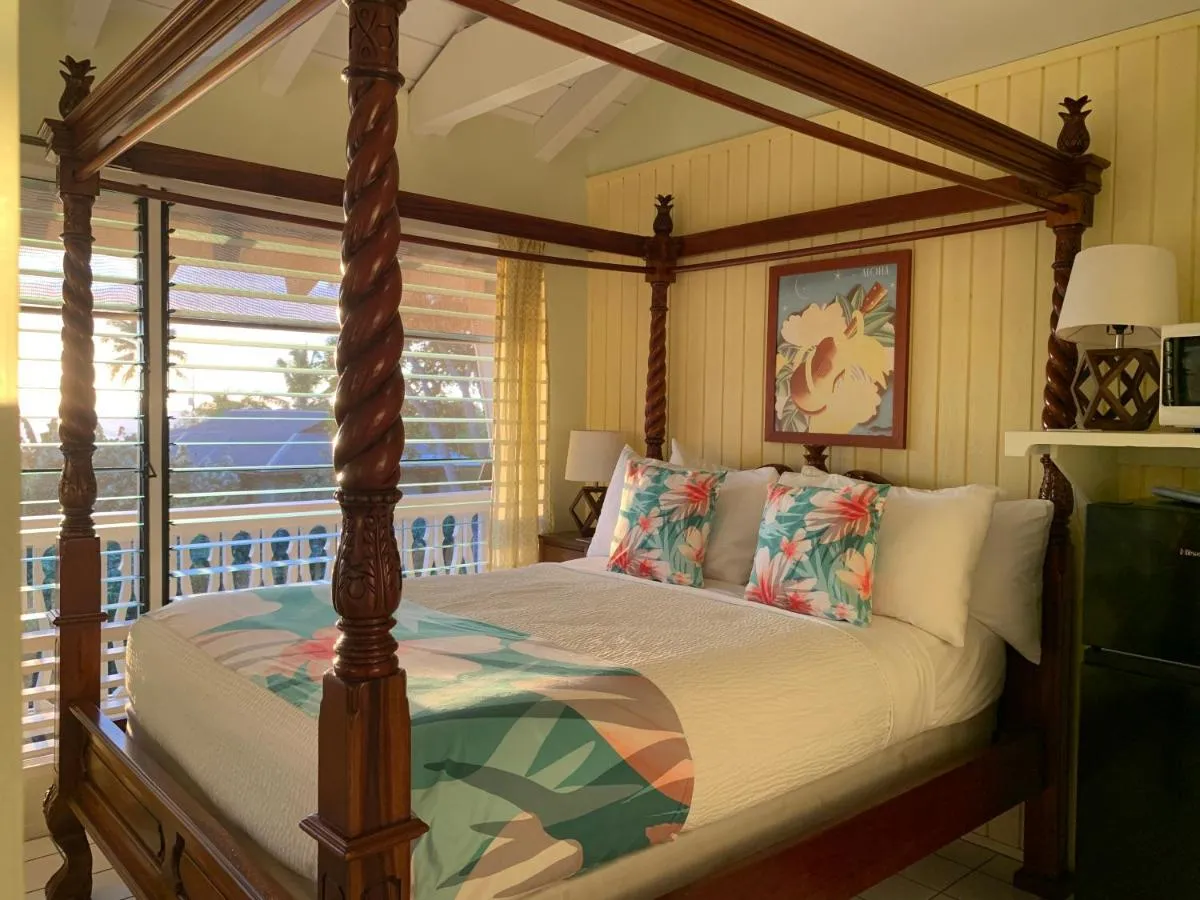 Image 2 of Big Island Retreat