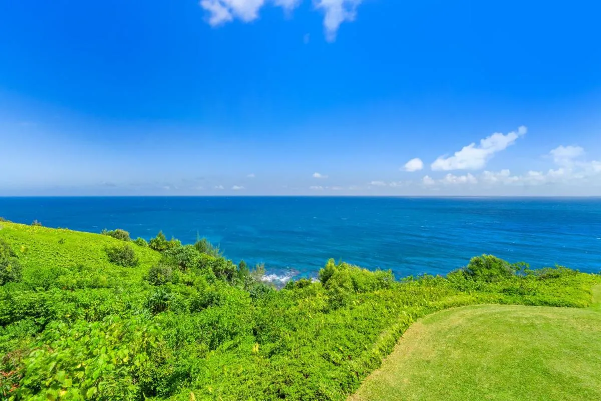 Image 2 of Breathtaking Ocean View of Royal Waters! AK5202