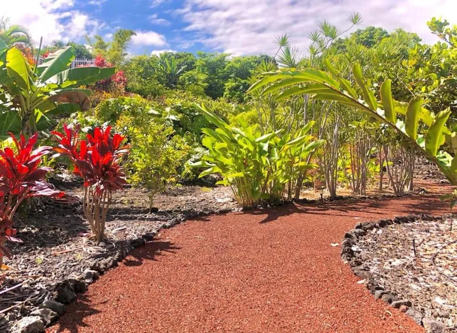 Image 6 of Central Oceanview Modern Cozy 3 Bed House