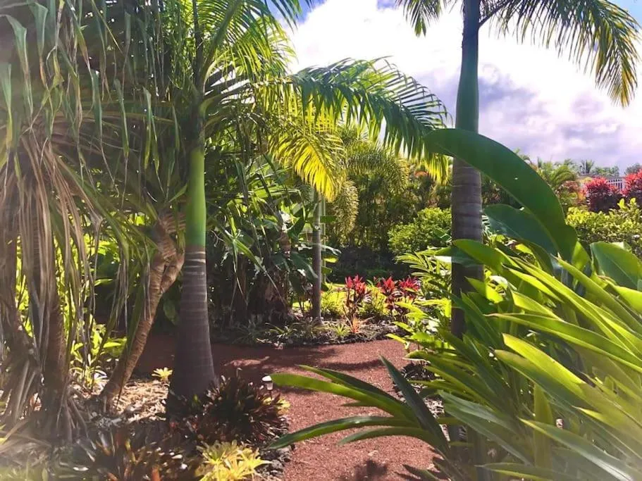 Image 3 of Central Oceanview Modern Cozy 3 Bed House