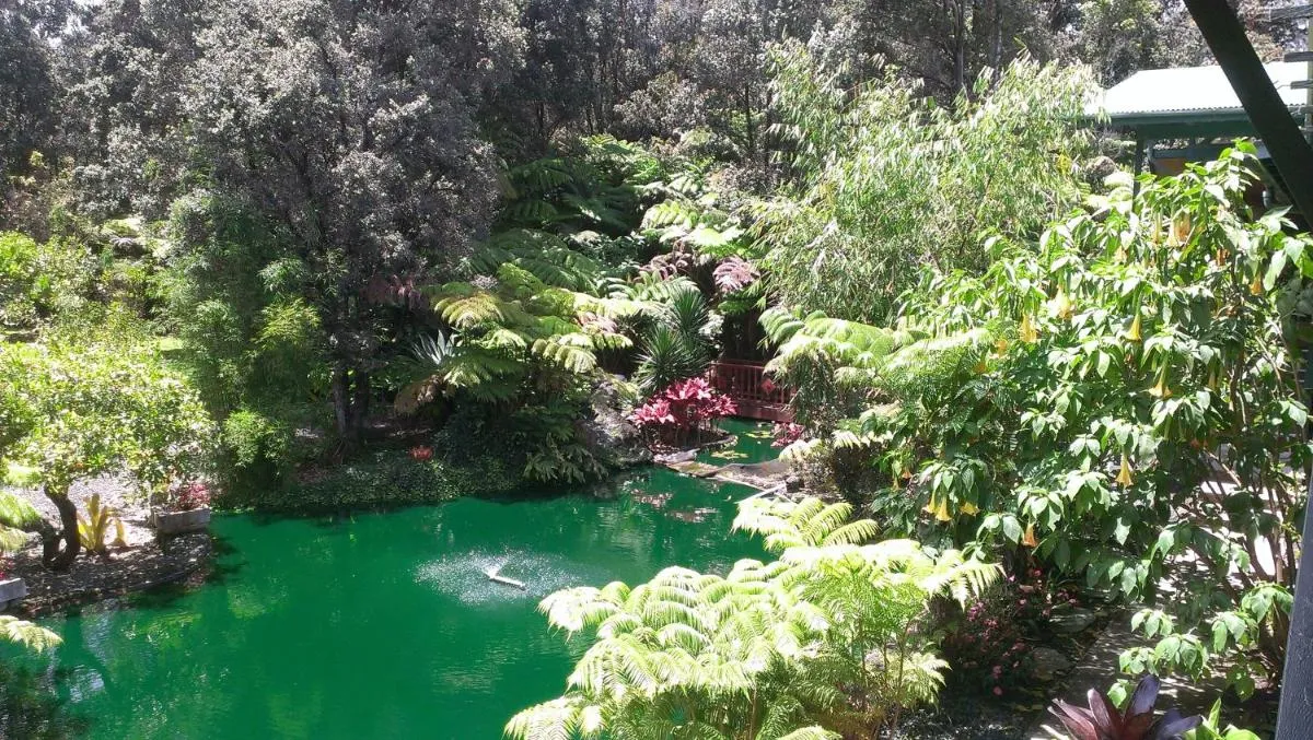 Image 5 of Chalet Kilauea