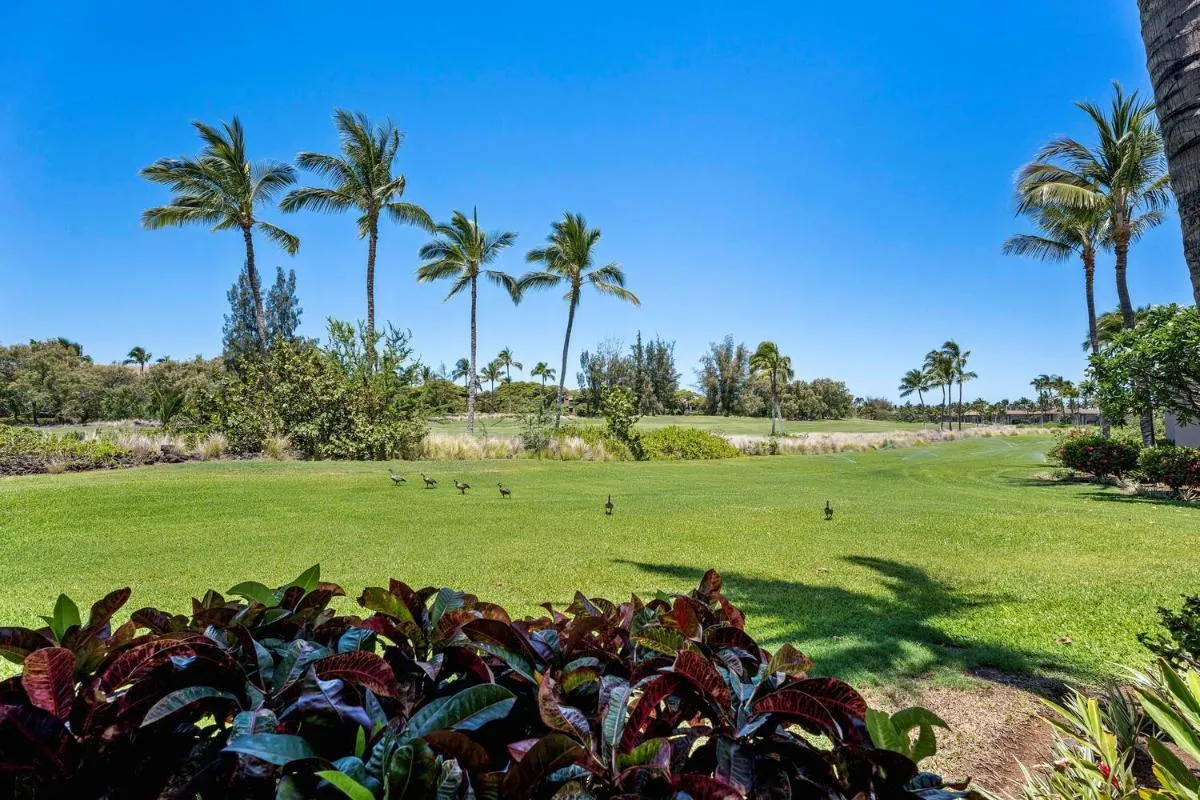 Image 4 of Colony Villas at Waikoloa Beach Resort #1305