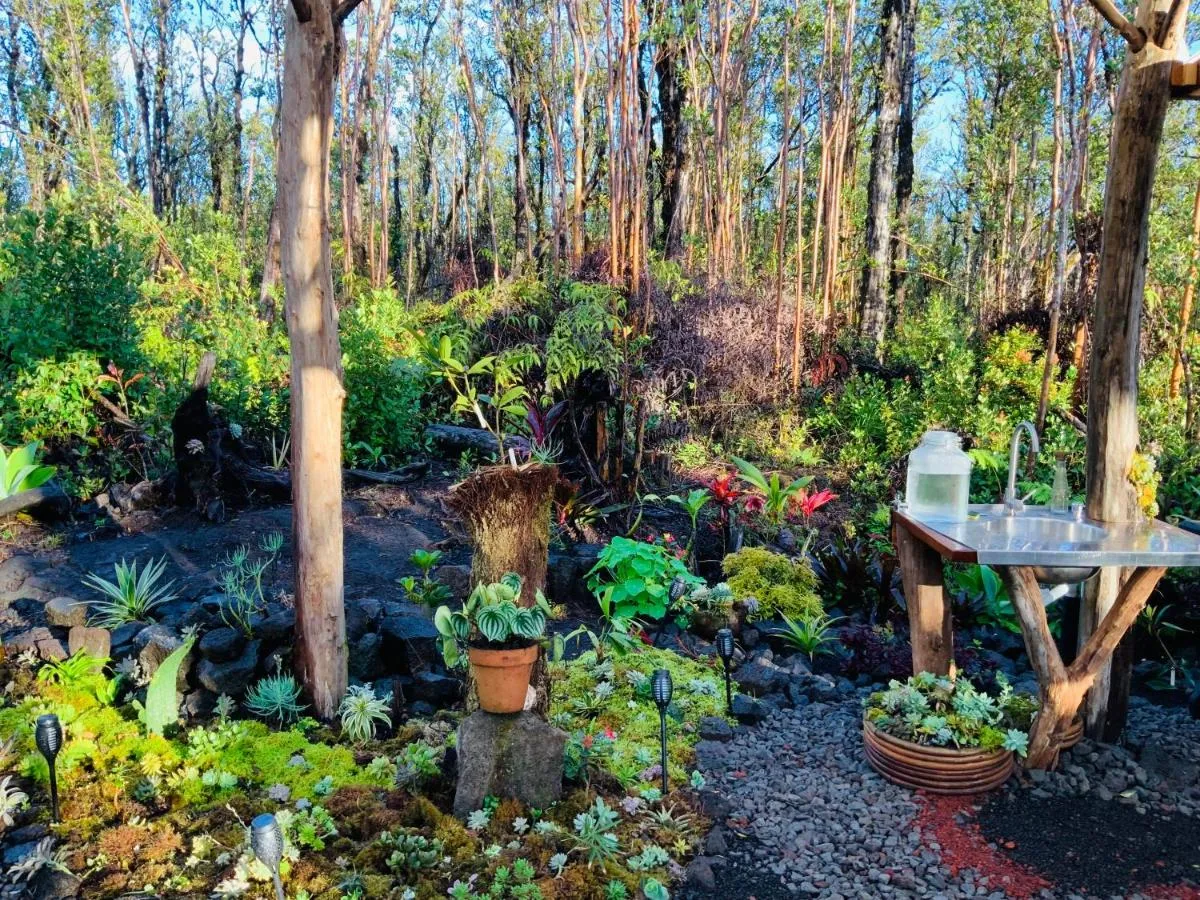 Image 1 of Exotic Garden cottage at amazing volcano fissure