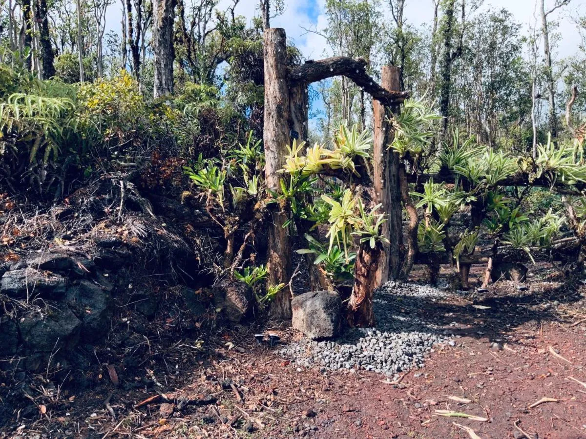 Image 2 of Exotic Garden cottage at amazing volcano fissure
