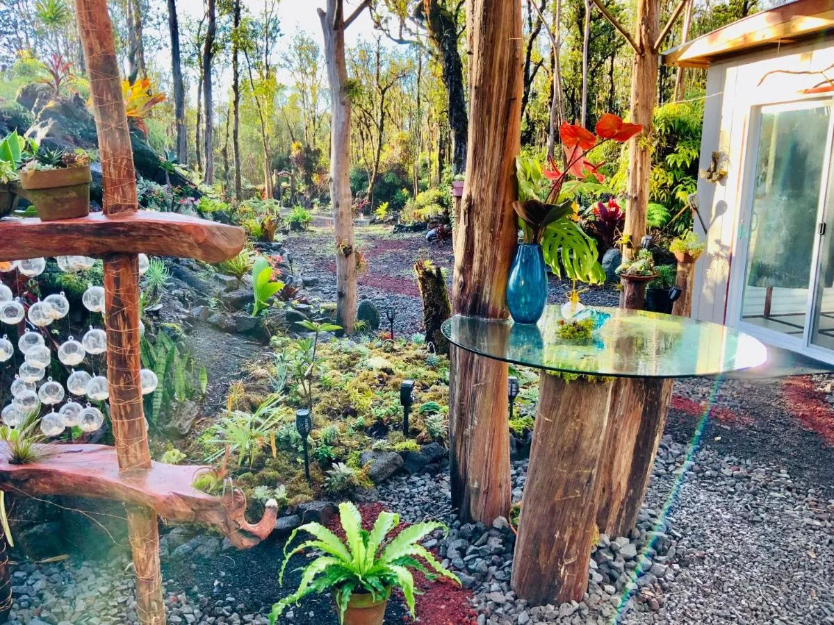 Image 4 of Exotic Garden cottage at amazing volcano fissure