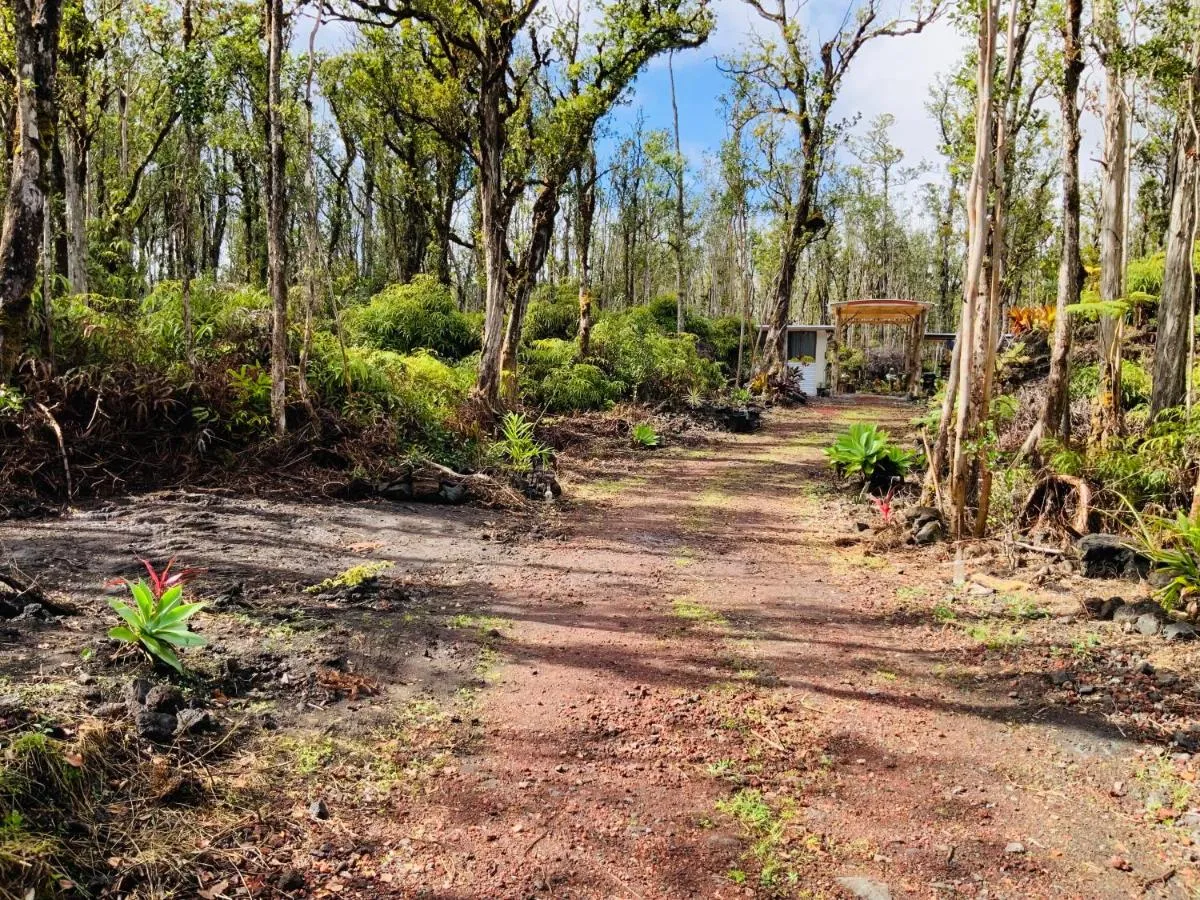 Image 5 of Exotic Garden cottage at amazing volcano fissure