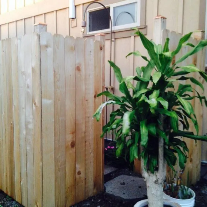 Image 3 of Garden Oasis at Banana Hale Studio