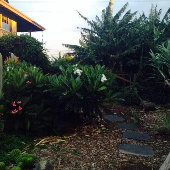 Image 5 of Garden Oasis at Banana Hale Studio