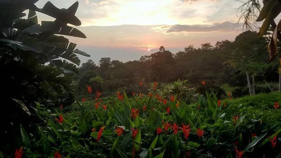 Image 2 of Hale Hualalai