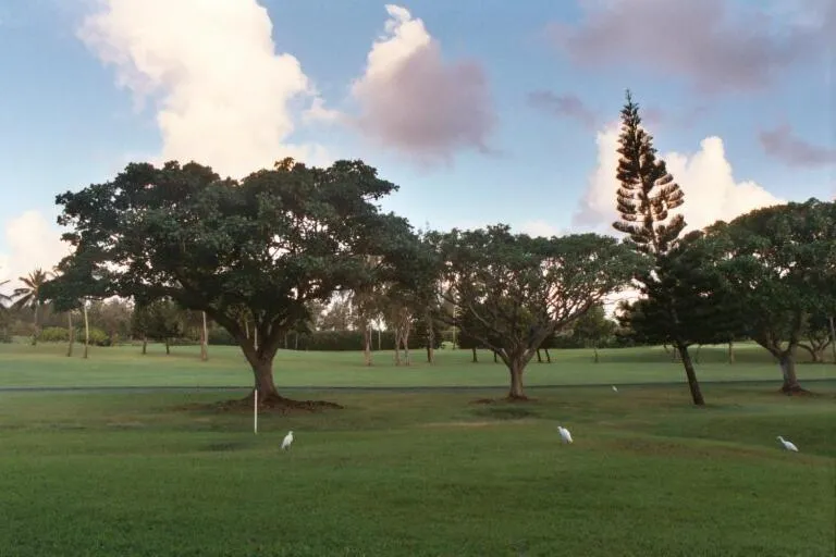 Image of Hale Mokulani Condo