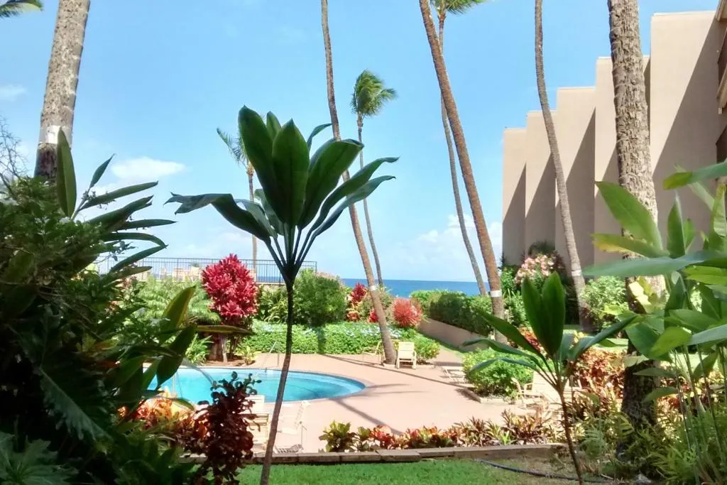 Image of Hale Ono Loa Condo