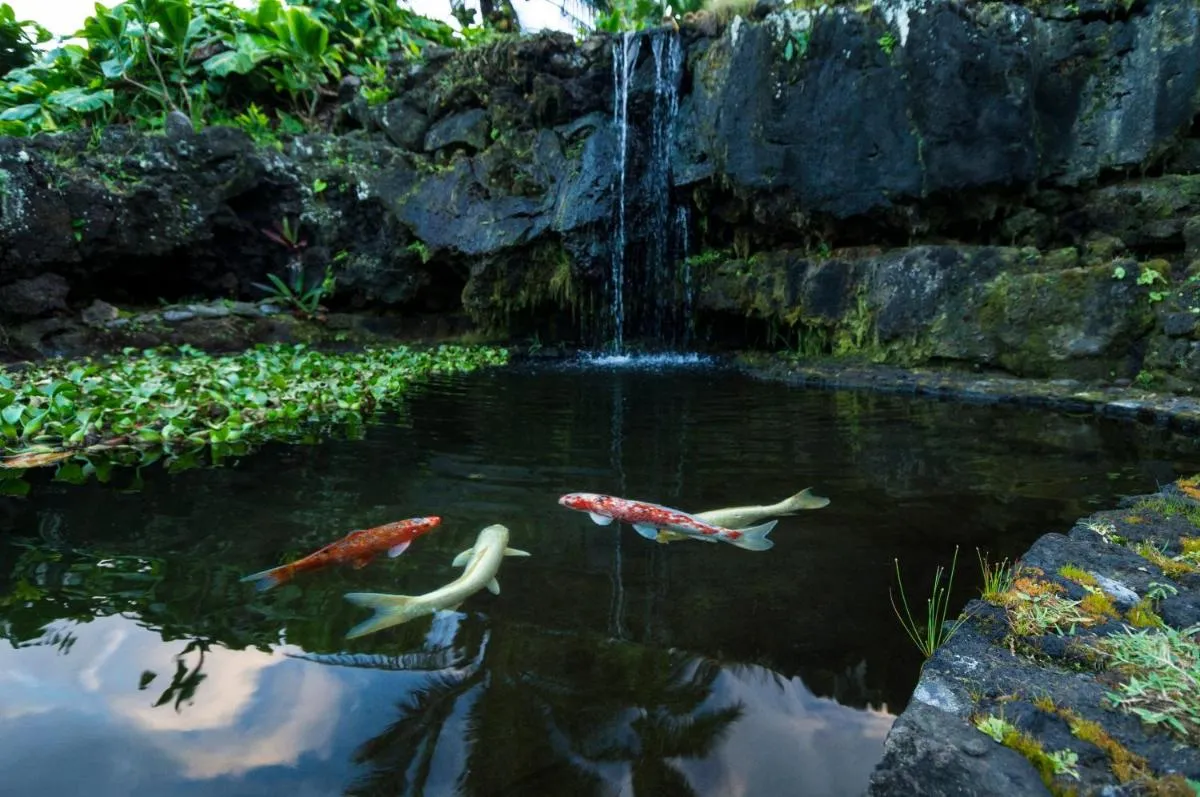 Image 1 of Hana Kai Maui – #101 Kaʻuiki premium oceanview 1 BR