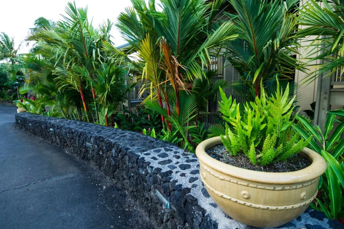 Image 5 of Hana Kai Maui – #101 Kaʻuiki premium oceanview 1 BR
