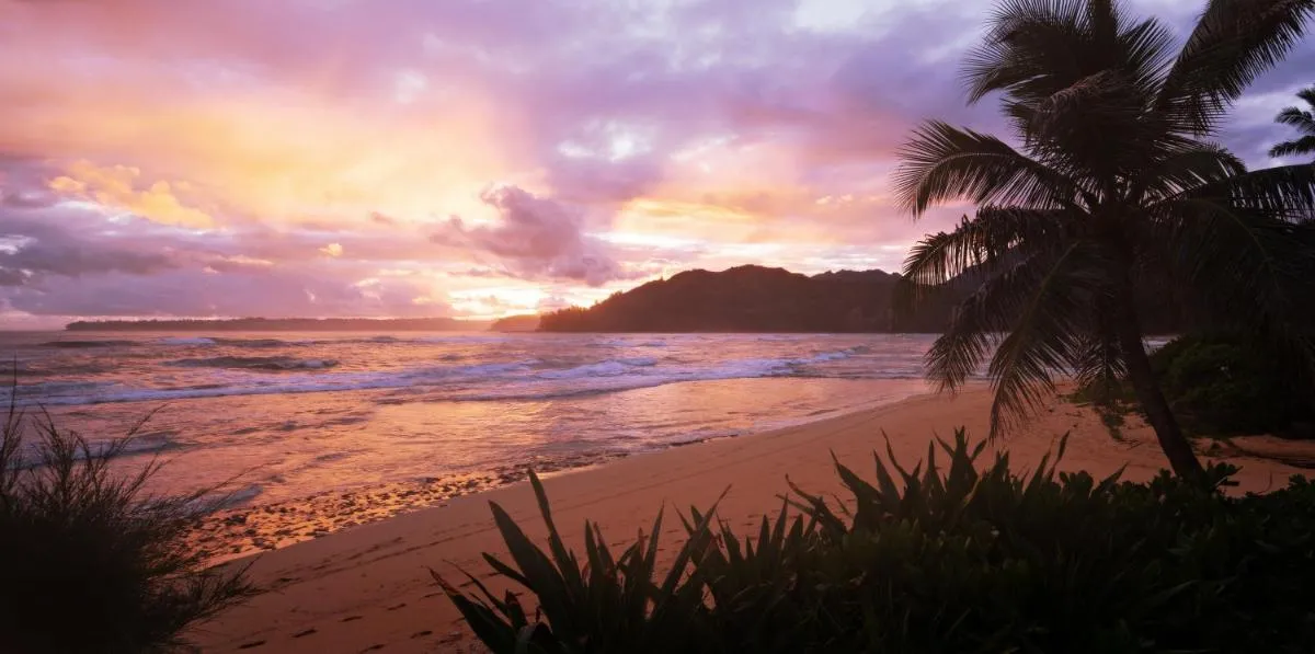 Image 4 of Hanalei Colony Resort