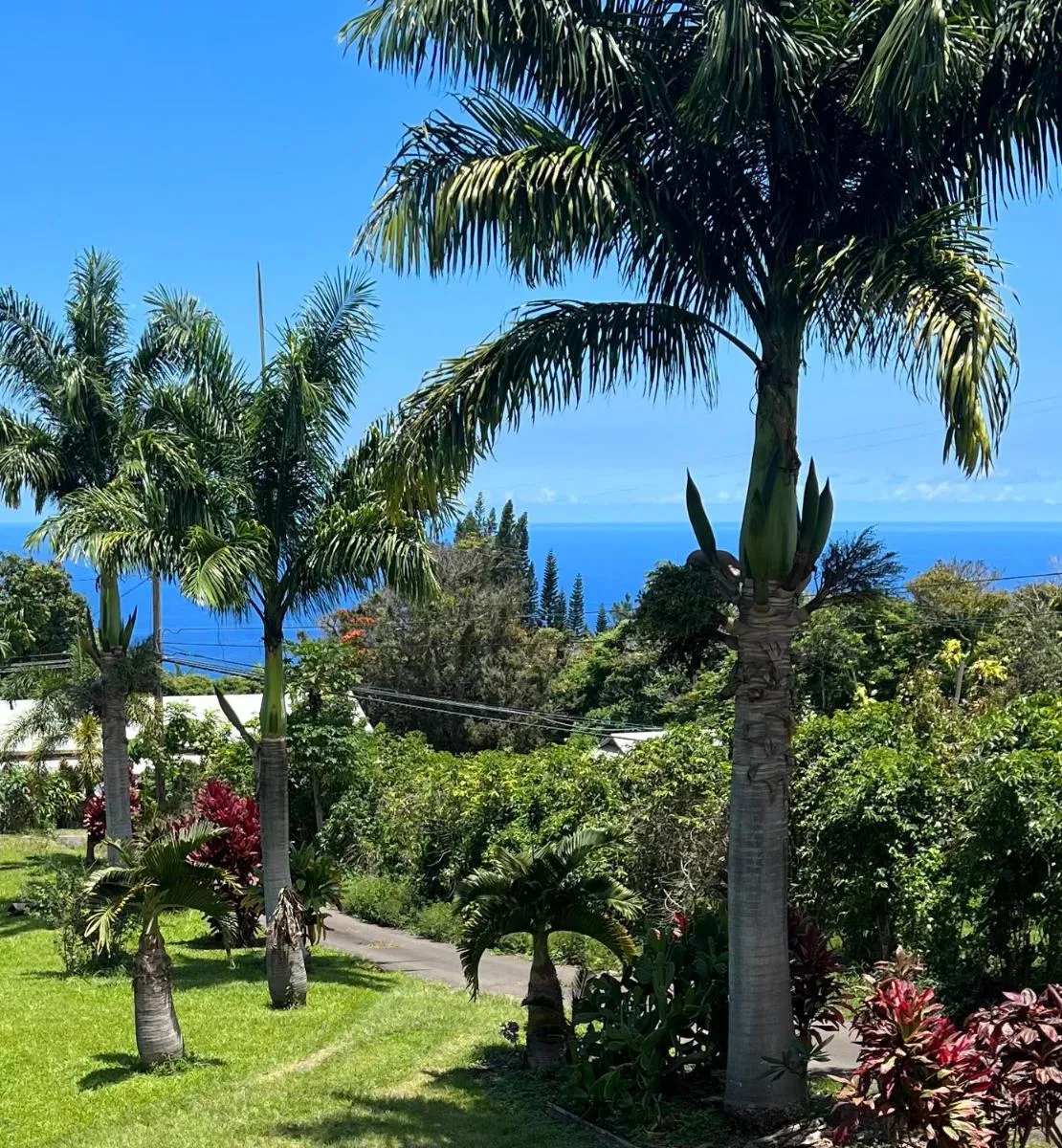 Image 4 of Hawaii Getaway
