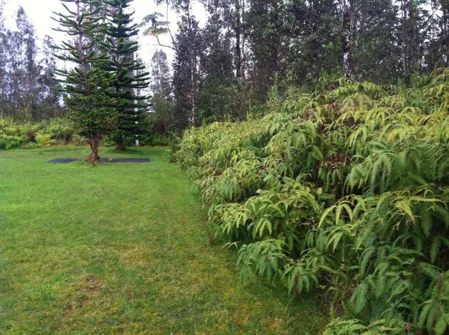 Image 5 of Hawaii Tropical Volcano mansion + Sauna