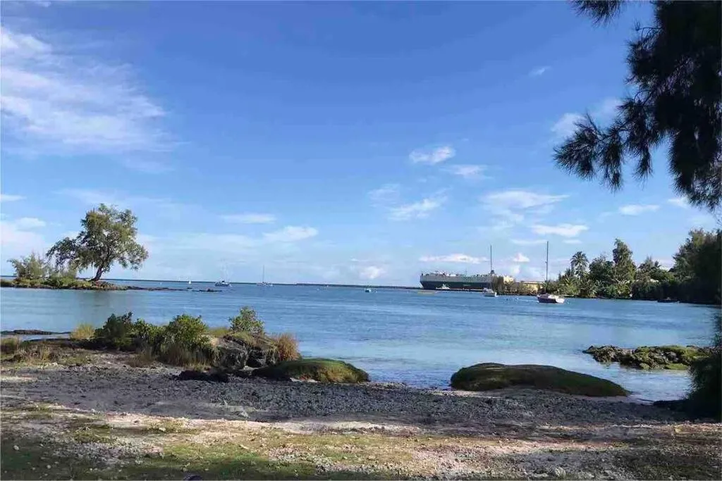 Image 2 of Hawaii Tropical Volcano mansion + Sauna