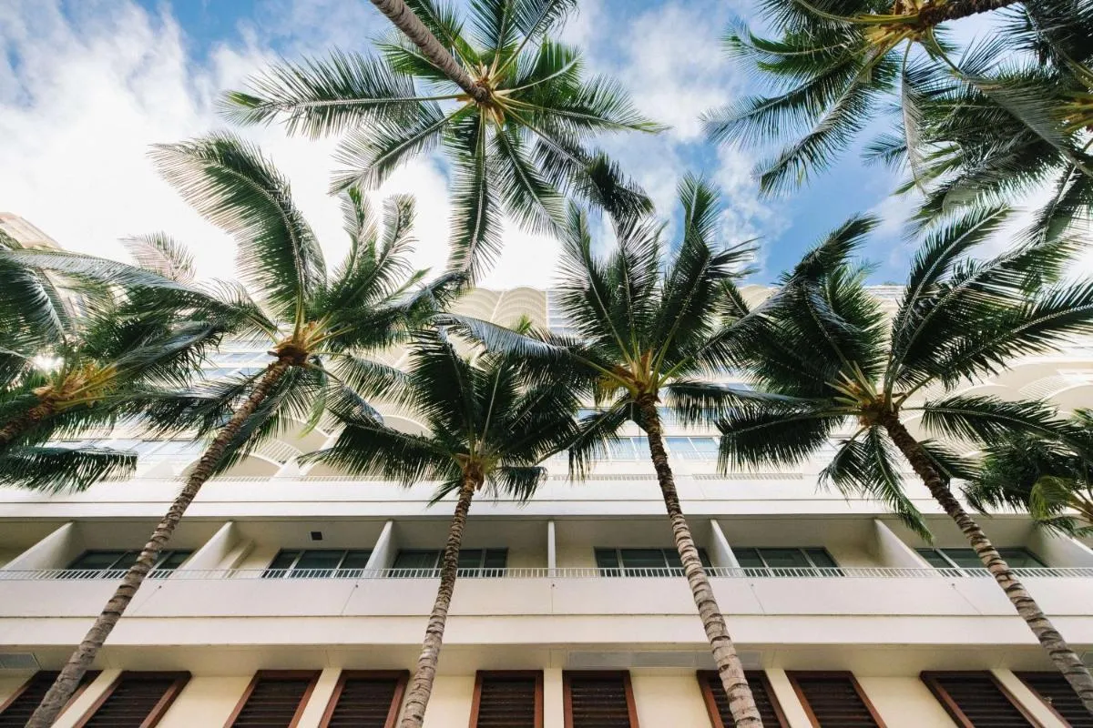 Image 4 of Hilton Vacation Club The Modern Honolulu