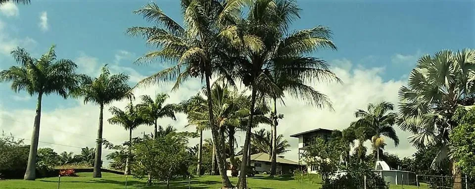 Image of Island Goode’s – Luxury Adult Only Accommodation near Hilo