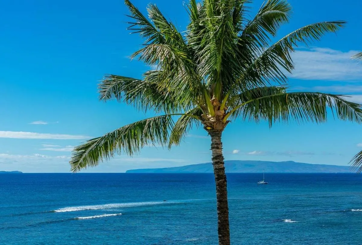 Image 5 of Island Sands by Coldwell Banker Island Vacations