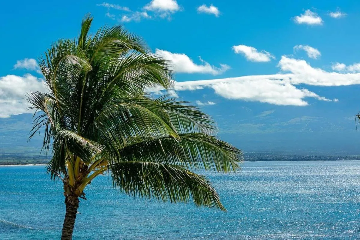 Image 6 of Island Sands by Coldwell Banker Island Vacations